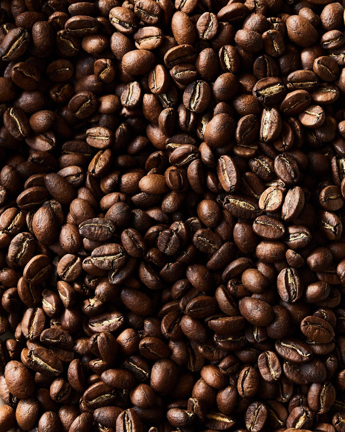 Organic Medium Roast Coffee Beans